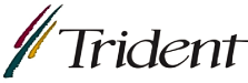 Trident Microsystems